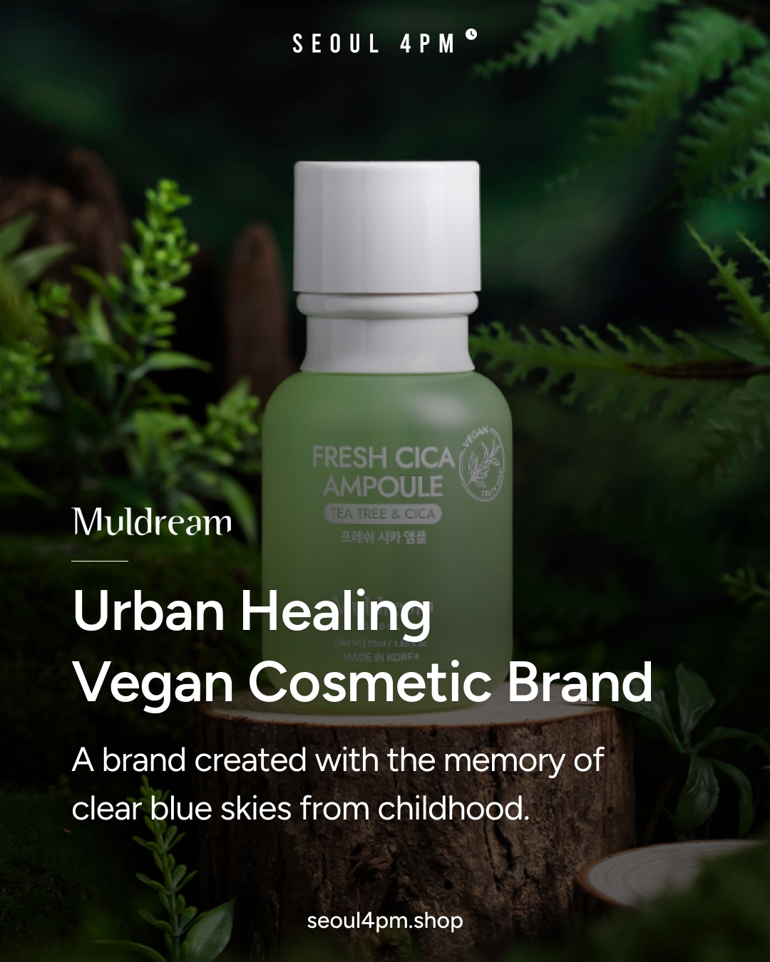 ๐ ๐จ๐๐๐ฅ๐๐๐ : Urban Healing Vegan Cosmetic Brand